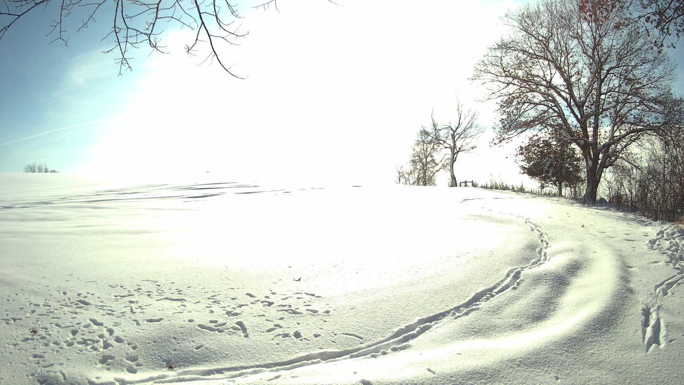 The construction cam, Jan 9, 2023 · 12:12pm