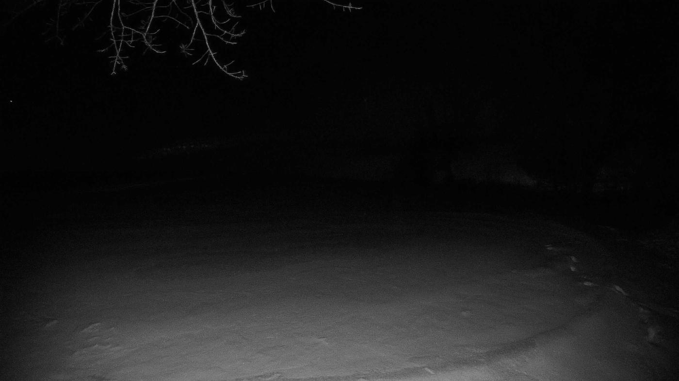 The construction cam, Jan 14, 2023 · 7:50pm