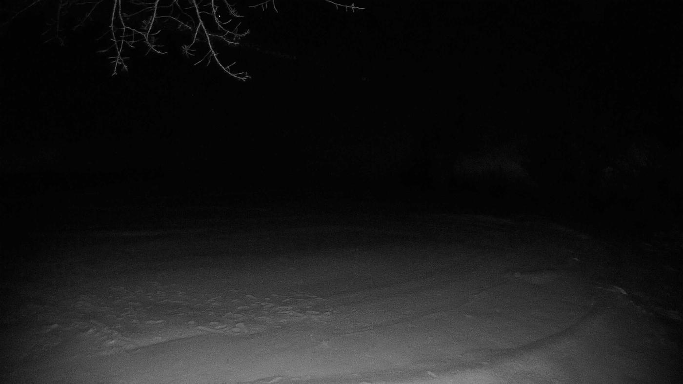 The construction cam, Jan 14, 2023 · 9:58pm