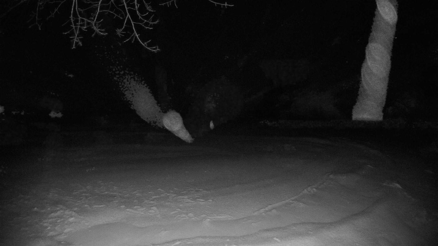 The construction cam, Jan 15, 2023 · 1:40am