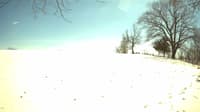 The field cam, Mar 26, 2023 at 12:21pm
