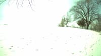 The field cam, Mar 27, 2023 at 9:52am
