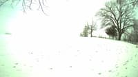 The field cam, Mar 27, 2023 at 11:16am