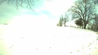 The field cam, Mar 27, 2023 at 12:17pm