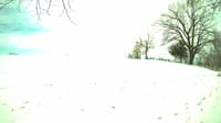 The field cam, Mar 28, 2023 at 11:46am
