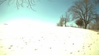 The field cam, Mar 29, 2023 at 9:17am