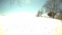The field cam, Mar 29, 2023 at 10:37am