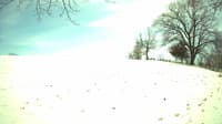 The field cam, Mar 29, 2023 at 11:24am