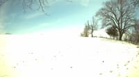 The field cam, Mar 29, 2023 at 12:11pm