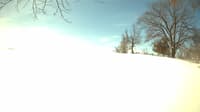 The field cam, Apr 1, 2023 at 9:14am