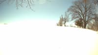 The field cam, Apr 1, 2023 at 10:22am