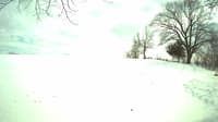 The field cam, Apr 3, 2023 at 12:49pm