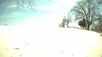 The field cam, Apr 7, 2023 at 11:52am