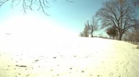 The field cam, Apr 8, 2023 at 8:38am