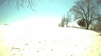 The field cam, Apr 8, 2023 at 10:54am