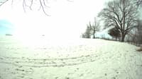 The field cam, Apr 9, 2023 at 9:33am