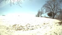 The field cam, Apr 10, 2023 at 9:59am