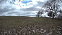 The field cam, Apr 17, 2023 at 12:43pm