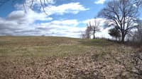 The field cam, Apr 17, 2023 at 1:18pm