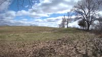 The field cam, Apr 17, 2023 at 1:37pm