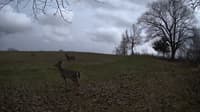 The field cam, Apr 21, 2023 at 3:43pm
