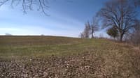 The field cam, Apr 23, 2023 at 7:13am