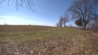 The field cam, Apr 23, 2023 at 8:05am