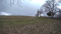 The field cam, Apr 24, 2023 at 1:13pm