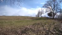 The field cam, Apr 24, 2023 at 1:43pm
