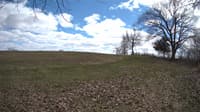 The field cam, Apr 25, 2023 at 12:33pm