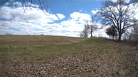 The field cam, Apr 25, 2023 at 12:36pm