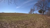 The field cam, Apr 26, 2023 at 7:50am