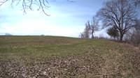 The field cam, Apr 27, 2023 at 8:57am