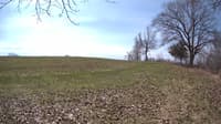 The field cam, Apr 27, 2023 at 9:05am