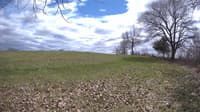 The field cam, May 1, 2023 at 12:42pm
