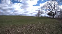 The field cam, May 1, 2023 at 1:13pm