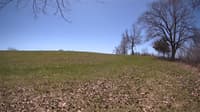The field cam, May 2, 2023 at 10:35am