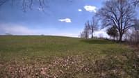 The field cam, May 4, 2023 at 1:05pm