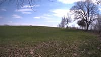 The field cam, May 5, 2023 at 12:54pm