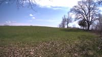 The field cam, May 5, 2023 at 12:59pm