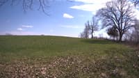 The field cam, May 5, 2023 at 1:04pm