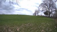 The field cam, May 8, 2023 at 12:15pm