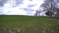 The field cam, May 9, 2023 at 9:45am