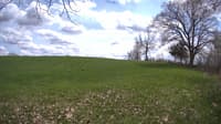 The field cam, May 9, 2023 at 12:26pm