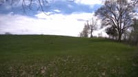 The field cam, May 11, 2023 at 12:15pm