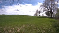 The field cam, May 11, 2023 at 12:31pm