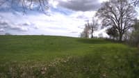 The field cam, May 11, 2023 at 1:22pm