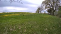 The field cam, May 14, 2023 at 9:20am
