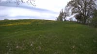 The field cam, May 14, 2023 at 9:50am