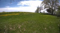 The field cam, May 14, 2023 at 11:47am
